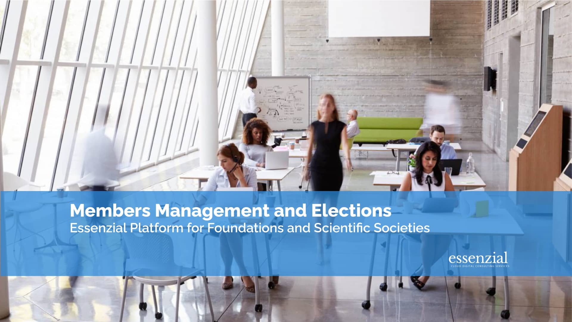 Members and Elections – Essenzial Platform