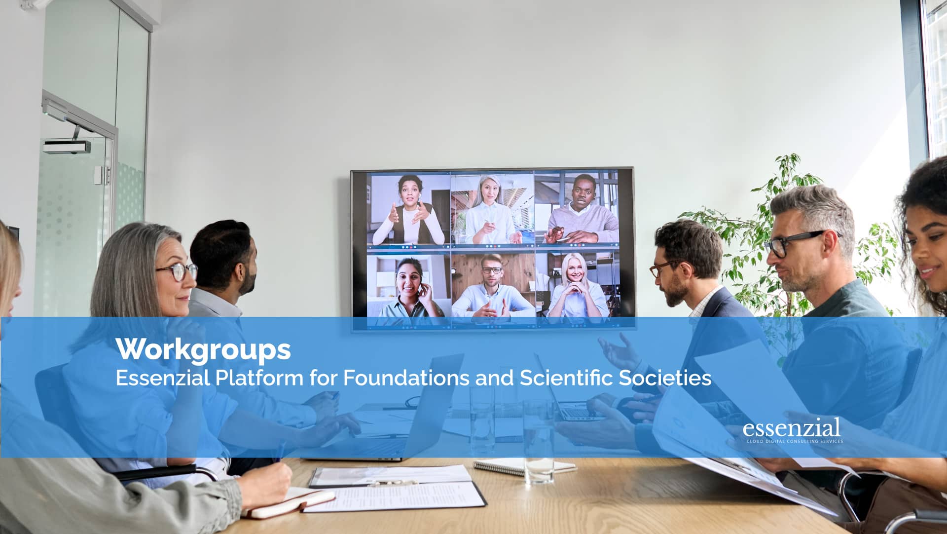 Workgroups – Essenzial Platform
